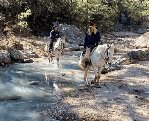 Tour al Lago de Arareko